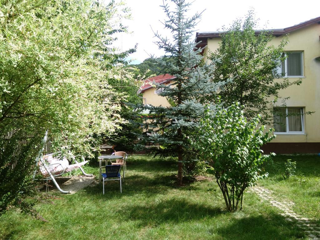Pensiunea Paloma 3 Stele Brašov Exteriér fotografie